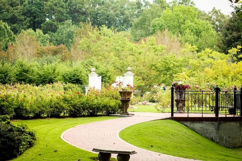 organic lawn care
