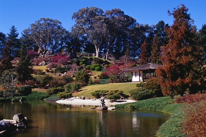 steuben landscaping
