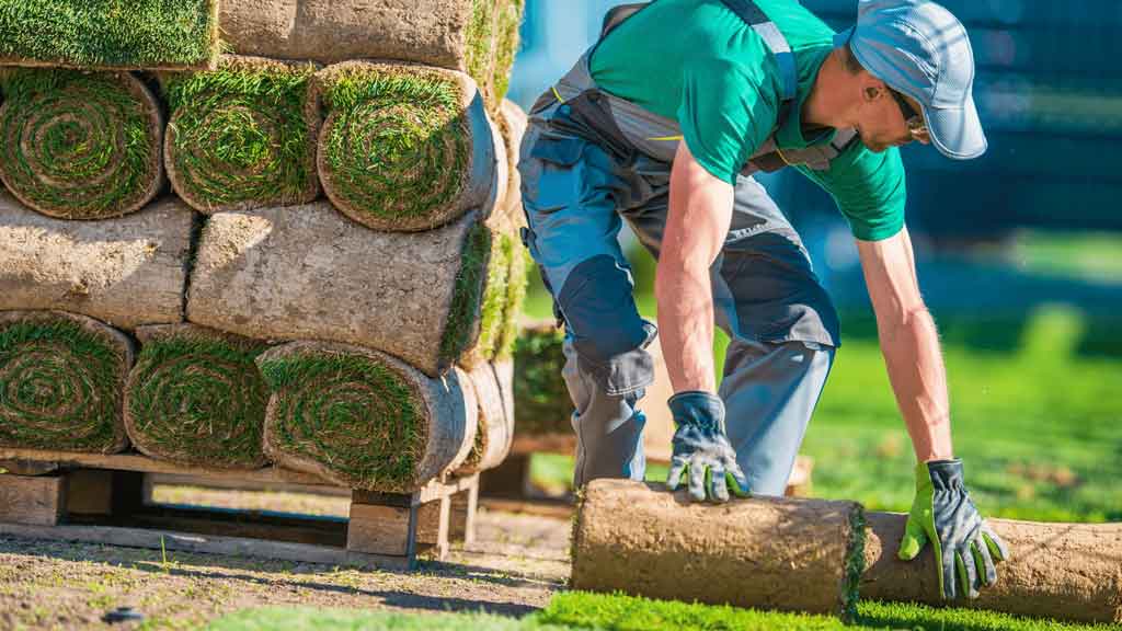 sod and sprinkler installation