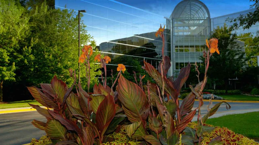 3d garden design