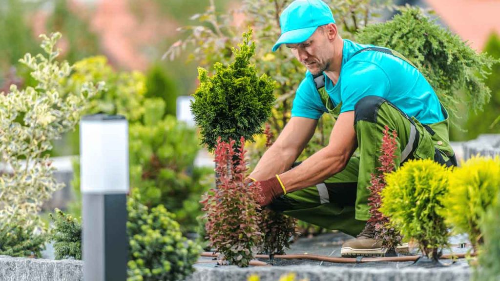 t and t landscaping