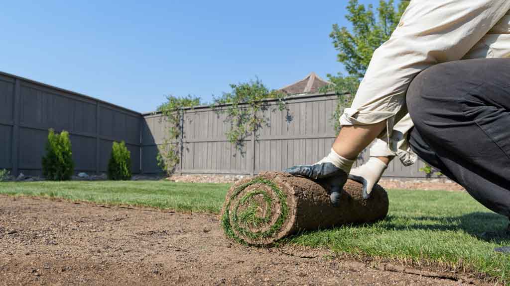 winter landscaping services