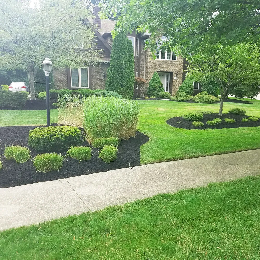Landscaping Services in Columbia SC
