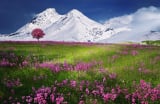 Landscape company