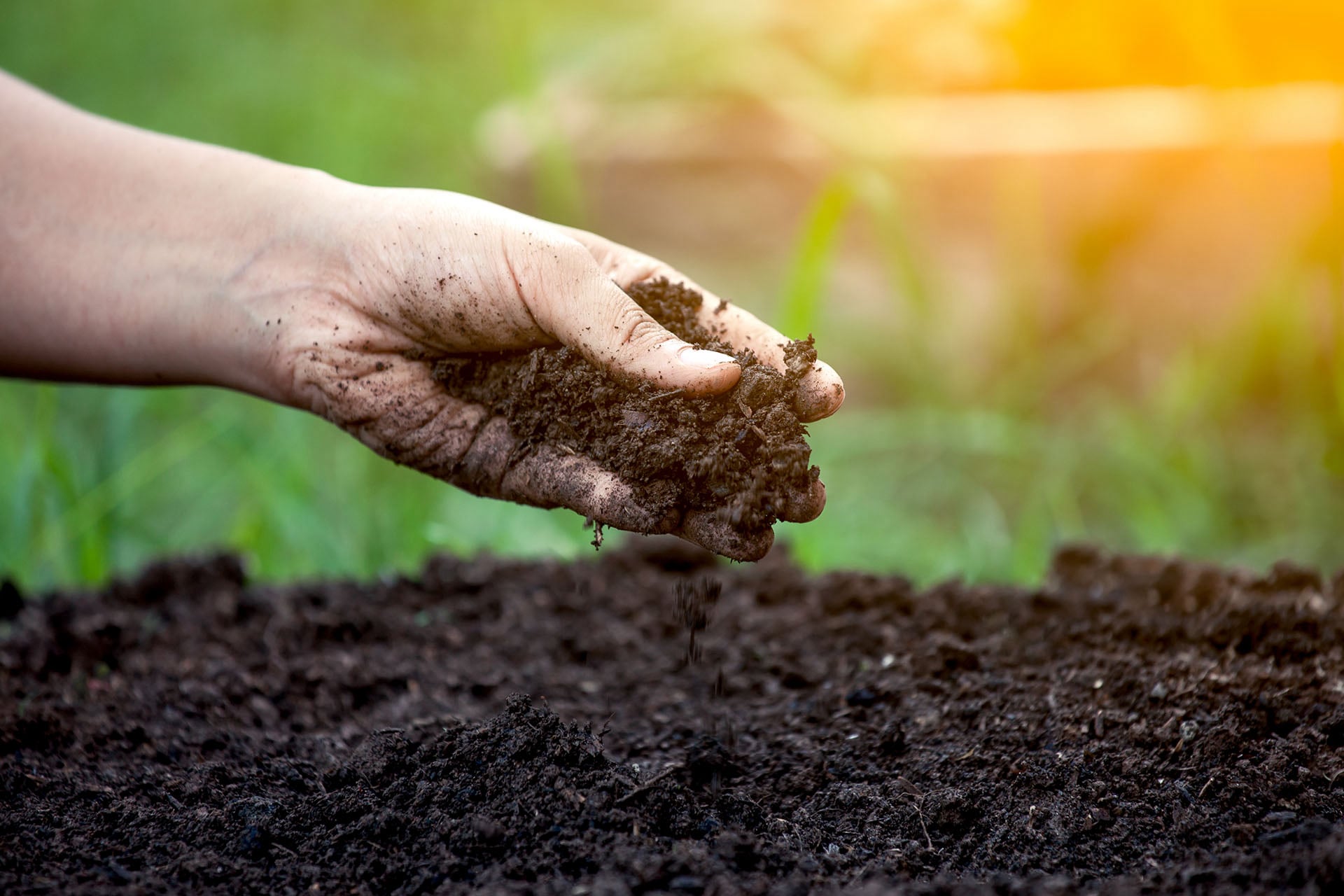 Landscaping Services in Columbia SC