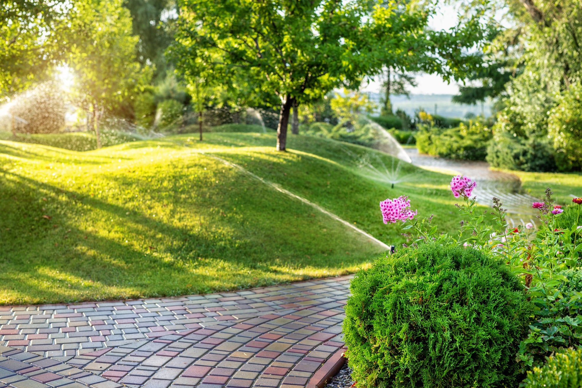 Landscaping Services in Columbia SC
