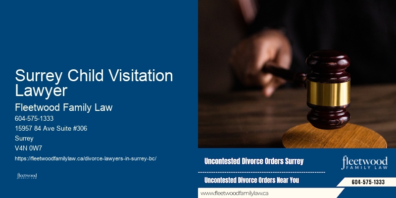 Surrey Child Visitation Lawyer