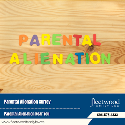 Custody agreement lawyer How to find a family law attorney in Surrey