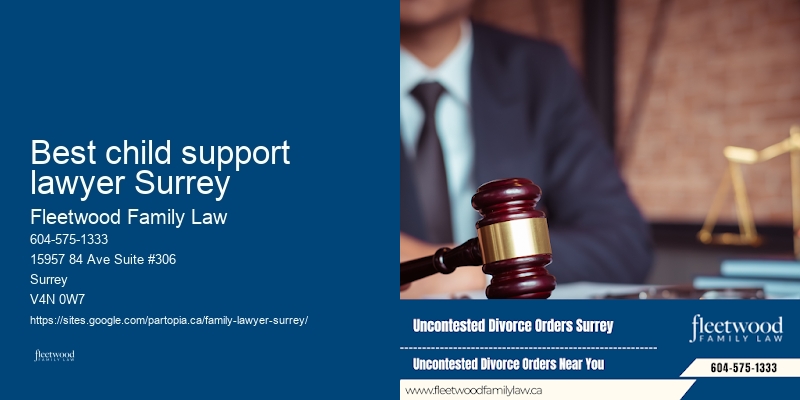 Best child support lawyer Surrey