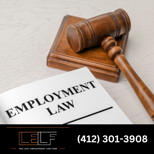 Employment Lawyer for Small Businesses Affordable Employment Lawyer Philadelphia