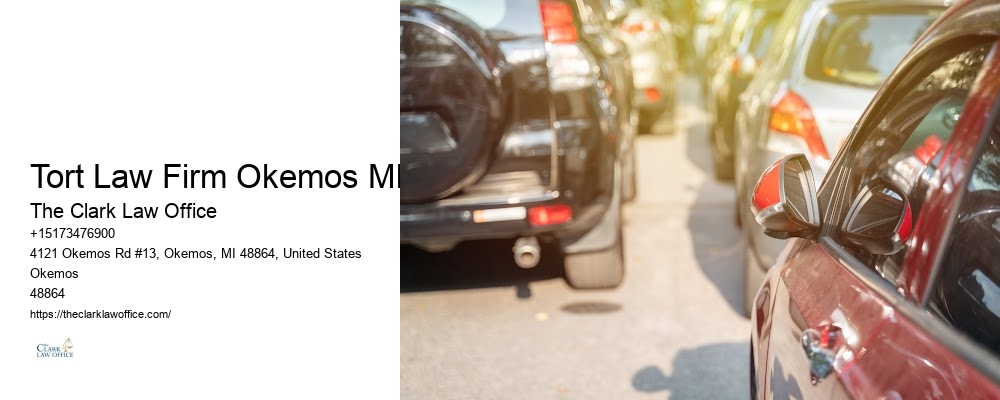 Tort Law Firm Okemos MI