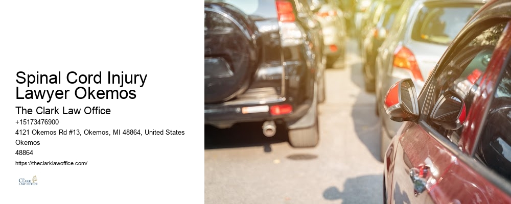 Spinal Cord Injury Lawyer Okemos