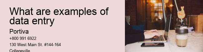 What are examples of data entry