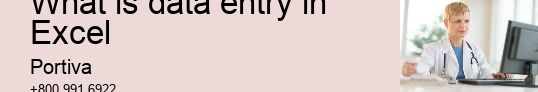 What is data entry in Excel