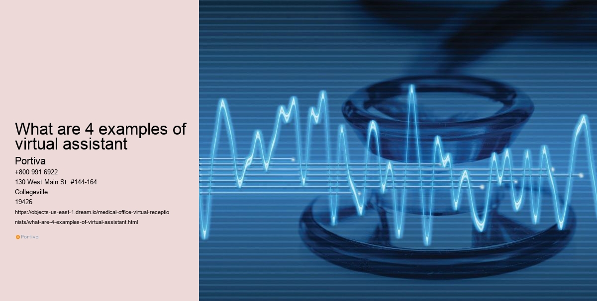 What are 4 examples of virtual assistant