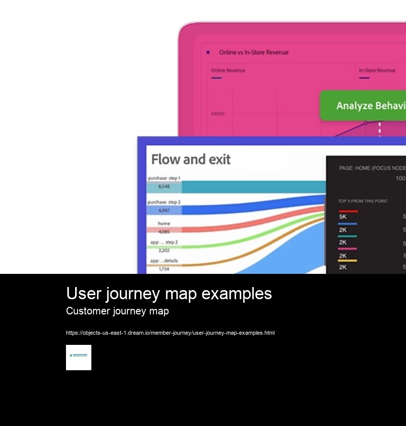 User journey map examples
