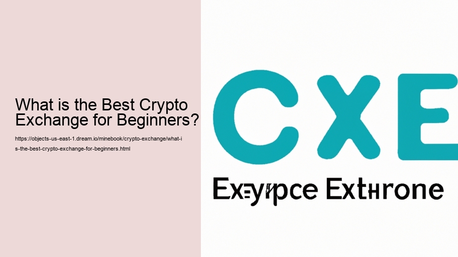 What is the Best Crypto Exchange for Beginners?