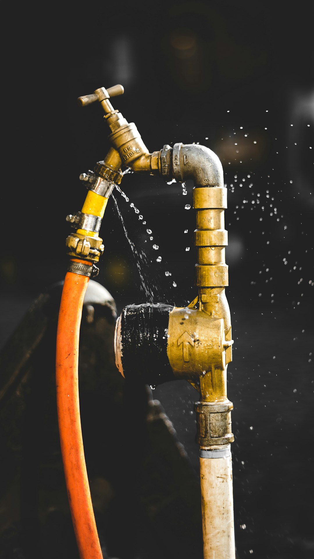 The Role of Licensed Plumbing Professionals