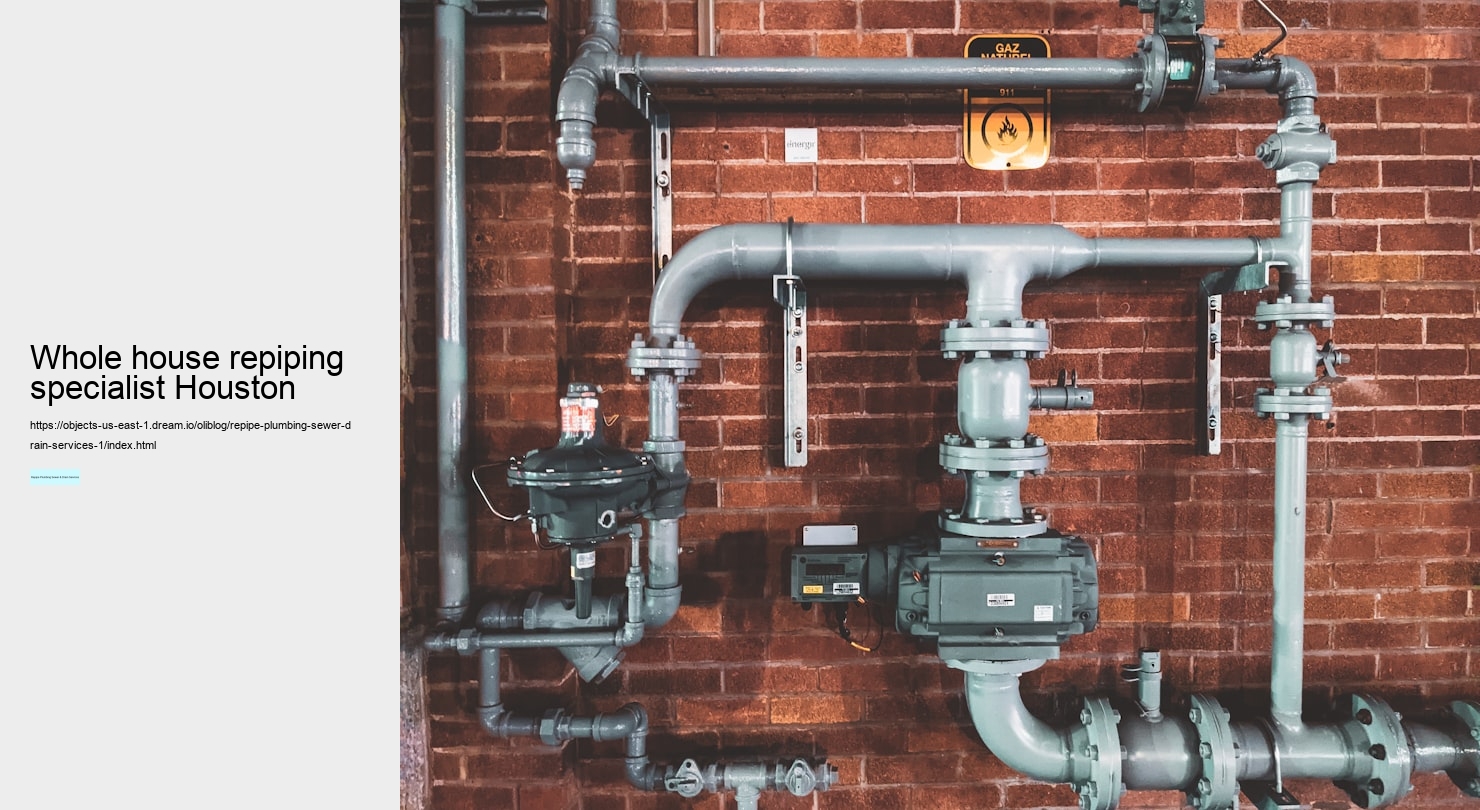 whole house repiping specialist Houston