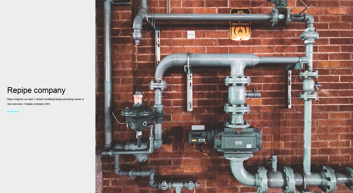 repipe company