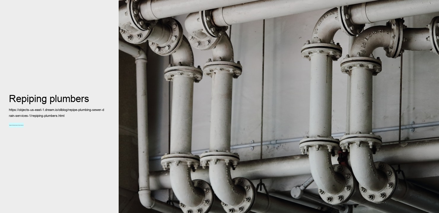 repiping plumbers