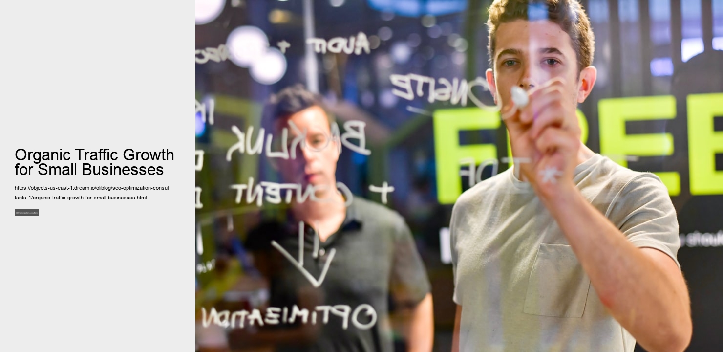Organic Traffic Growth for Small Businesses
