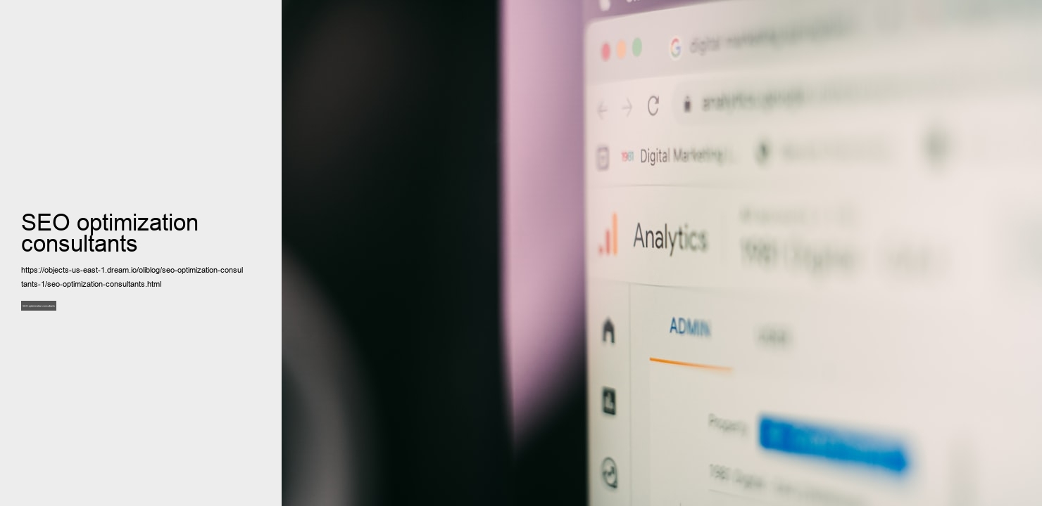 SEO optimization consultants