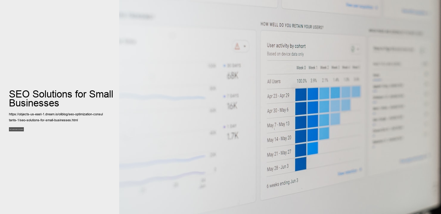 SEO Solutions for Small Businesses