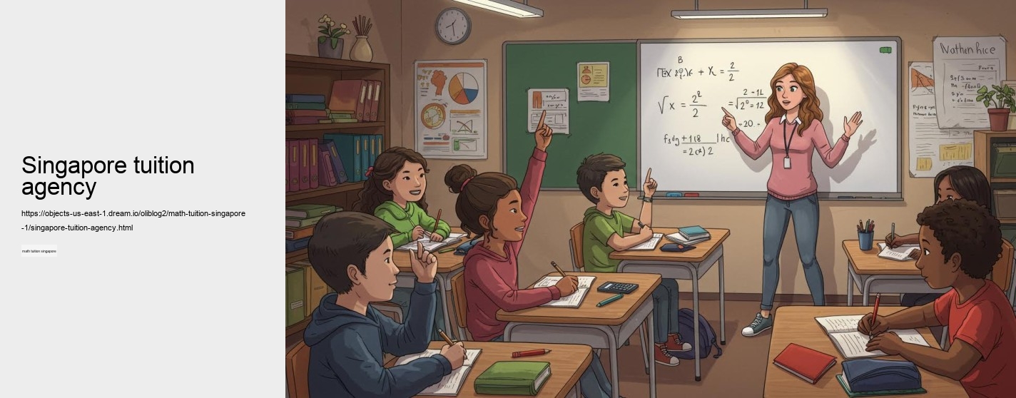 singapore tuition agency