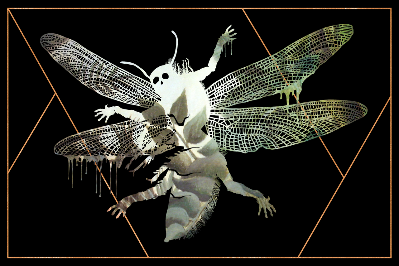 Meaning of dreaming about flies and disease