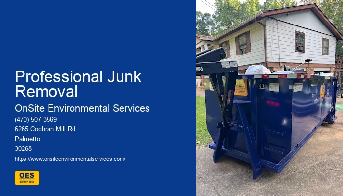Common Environmental Dumpster Rental