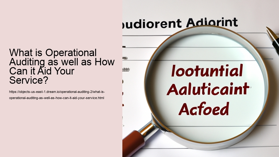 What is Operational Auditing as well as How Can it Aid Your Service?