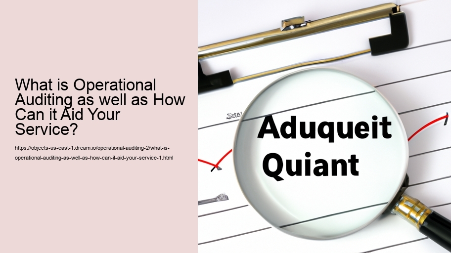 What is Operational Auditing as well as How Can it Aid Your Service?