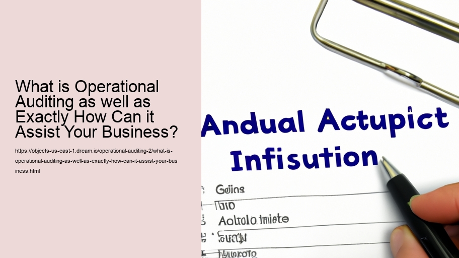 What is Operational Auditing as well as Exactly How Can it Assist Your Business?