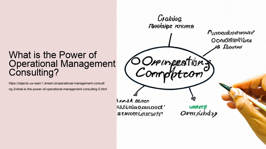 What is the Power of Operational Management Consulting?