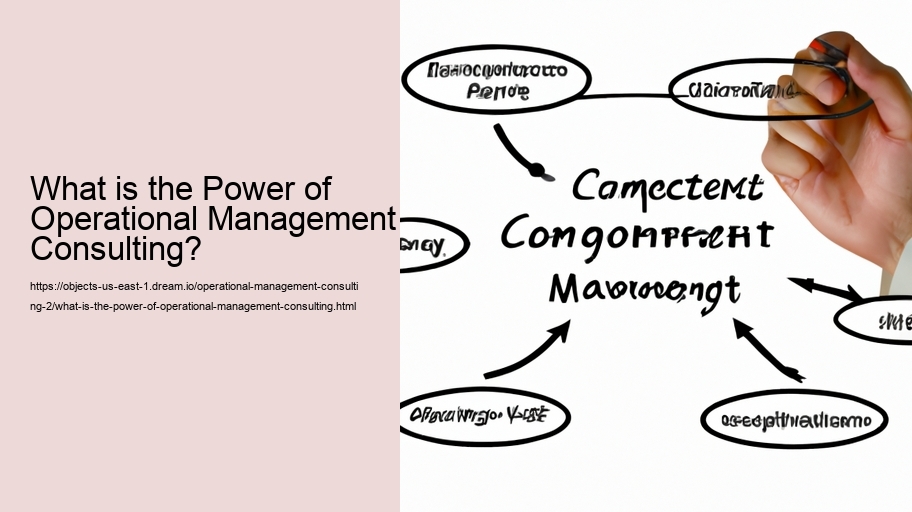 What is the Power of Operational Management Consulting?