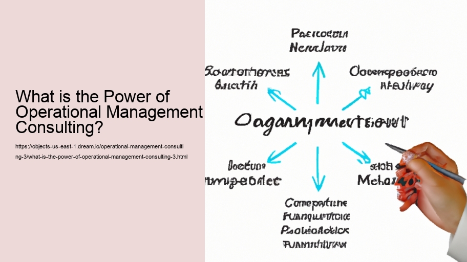 What is the Power of Operational Management Consulting?