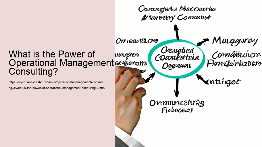 What is the Power of Operational Management Consulting?