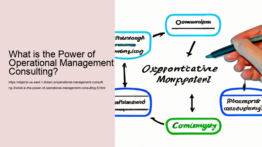 What is the Power of Operational Management Consulting?