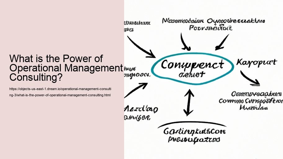 What is the Power of Operational Management Consulting?