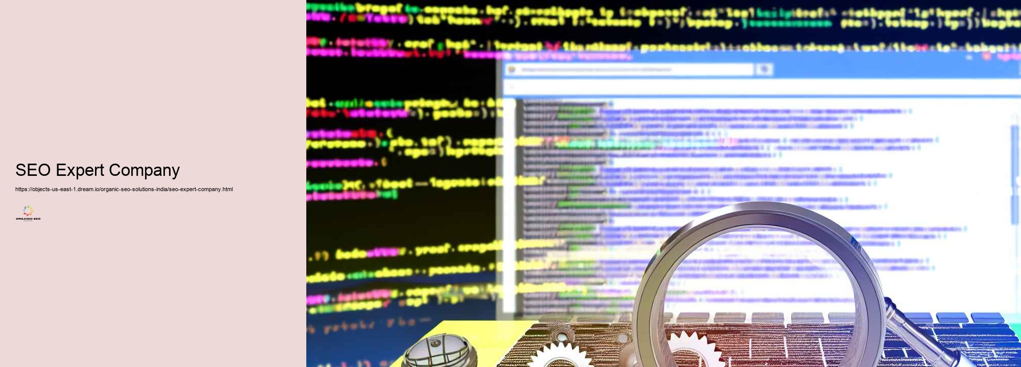 Technique Techniques in Organic SEO Solutions for Indian Markets