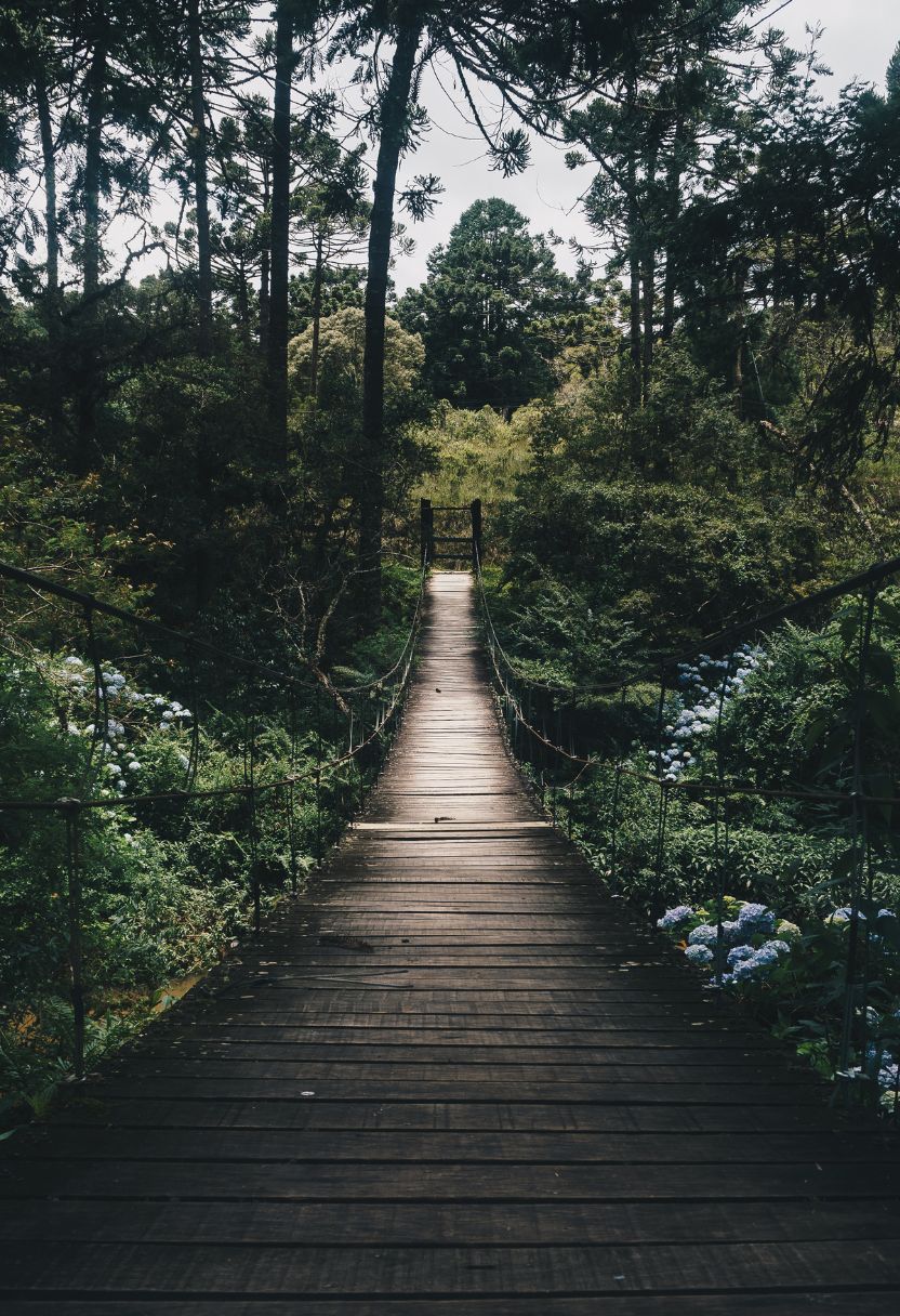 Environmental Responsibility and Leave No Trace Principles