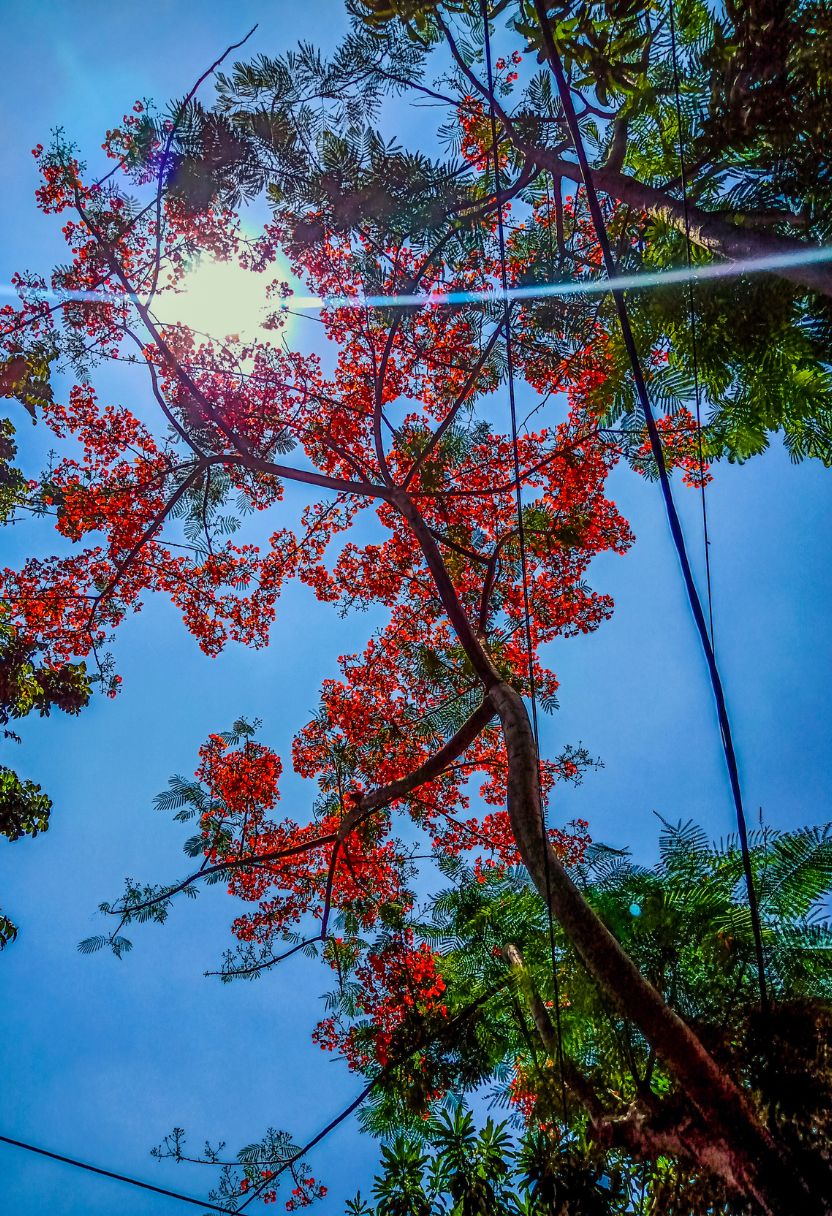 Safety Tips and Best Practices for Outdoor Adventures