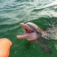 Boat Tours