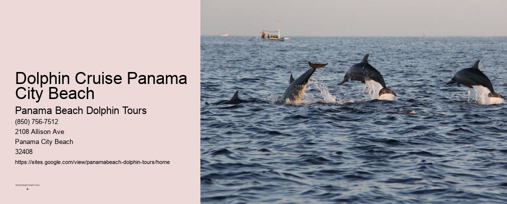 Dolphin Cruise Panama City Beach