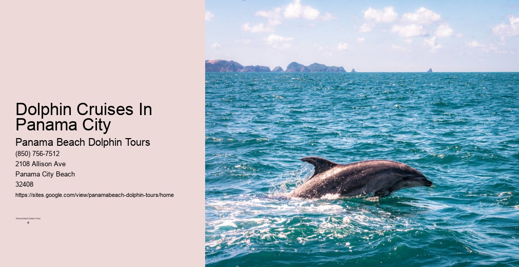Dolphin Tours Panama City Beach Fl