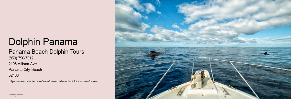 Dolphin Encounters Panama City Beach