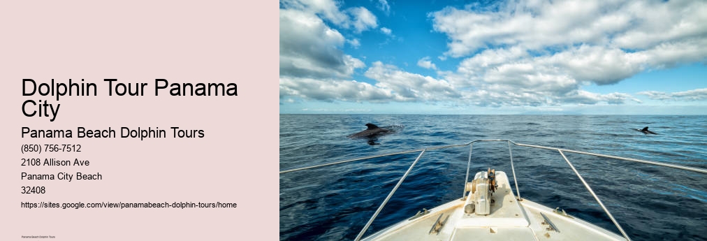 Panama Beach Dolphin Tour