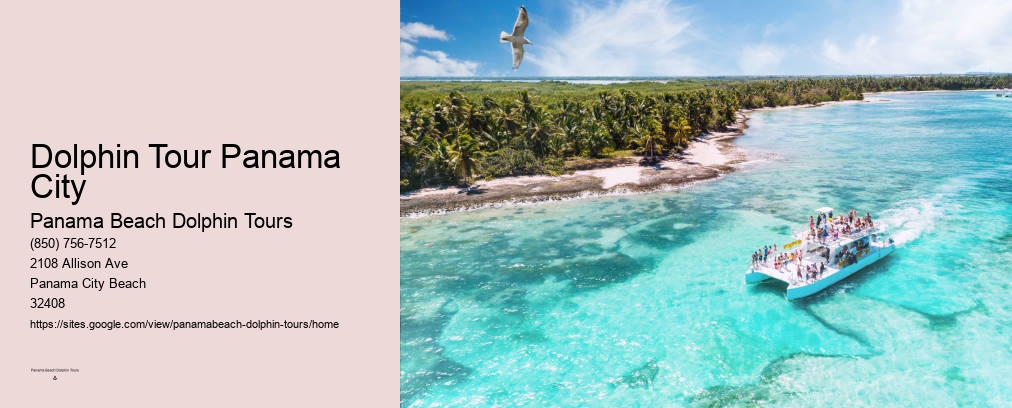 Dolphin Cruises Panama City Beach