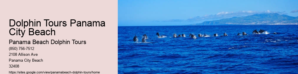 Swim With Dolphins Panama City Beach